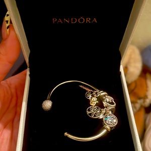 Pandora bracelet missing ball